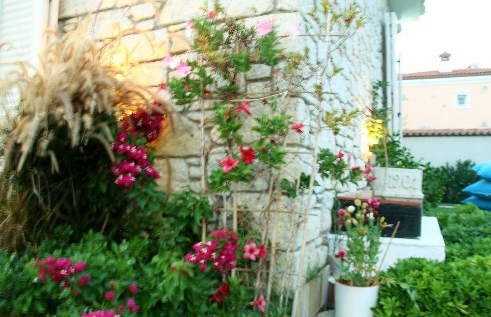 Yasemin Alacati (Adults Only) Luaran gambar
